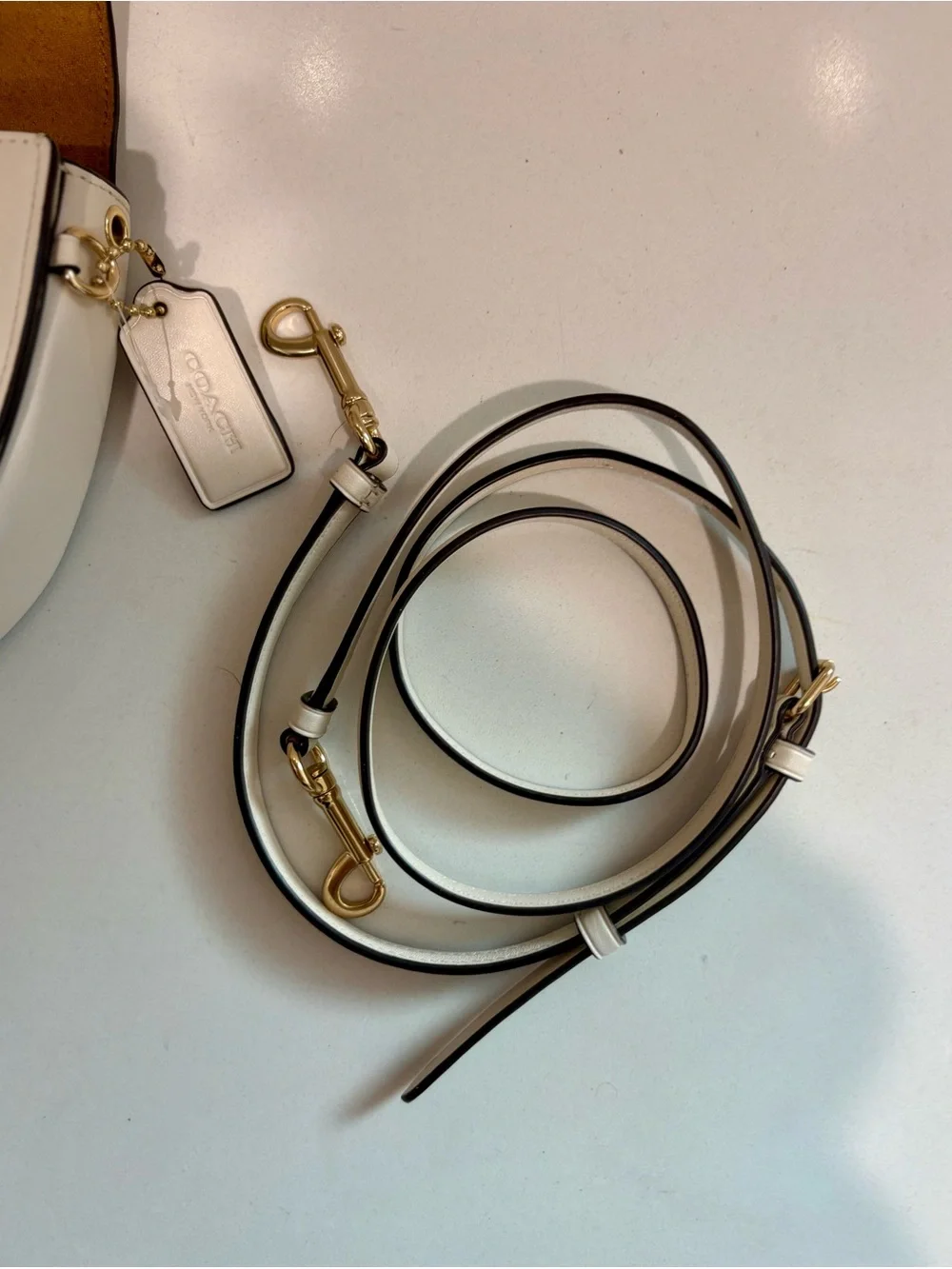 Coach Ellen Daisy Embroidered Leather Crossbody Bag Chalk C2863t